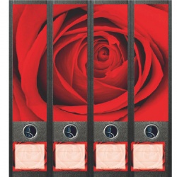 File Art ordneretiketten - In het hart van de roos